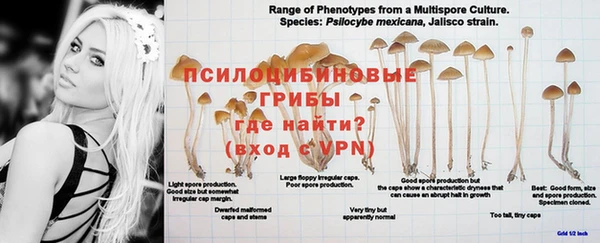 меф Бородино